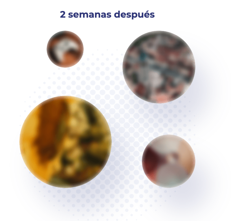 Schermata-2022-09-23-alle-17.53.02-1.png