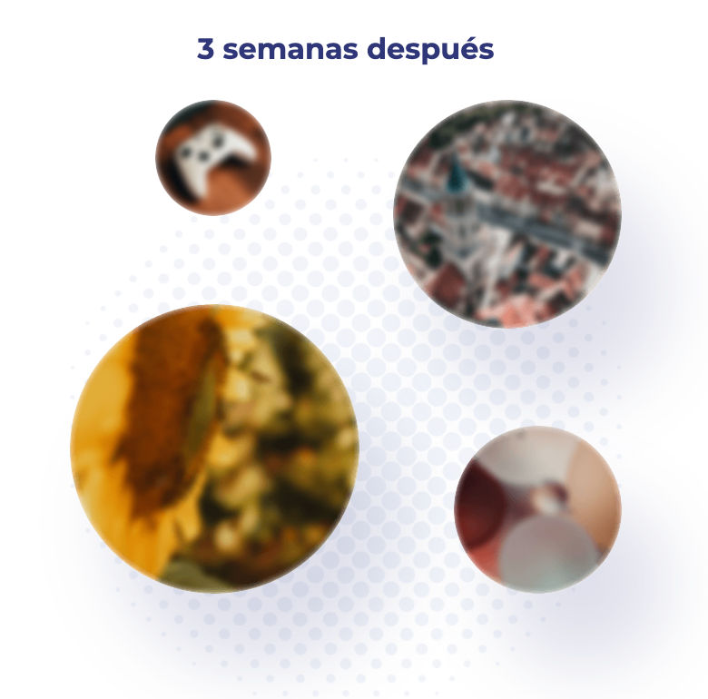 Schermata-2022-09-23-alle-17.53.12-1.png