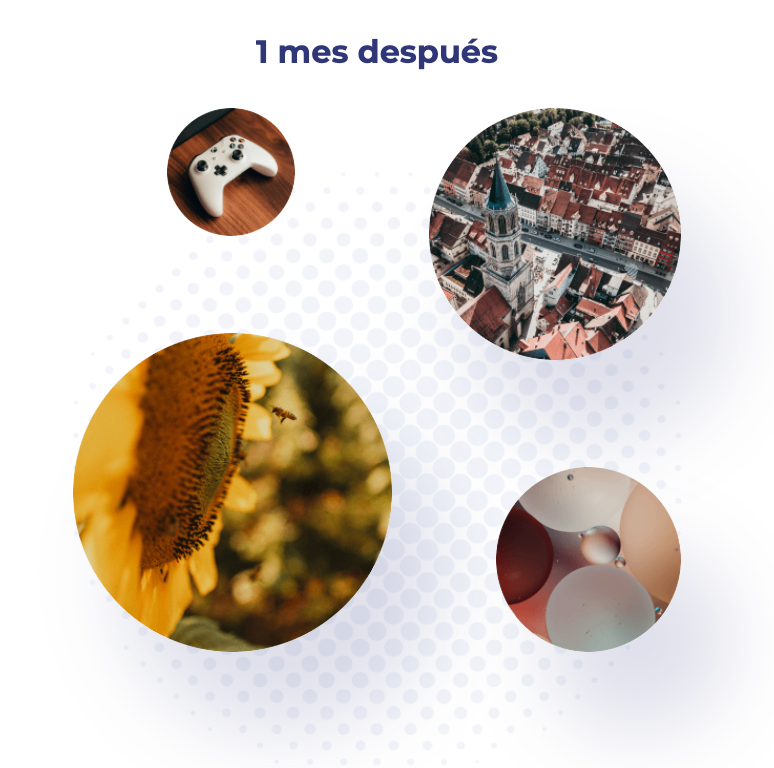 Schermata-2022-09-23-alle-17.53.20-1.png
